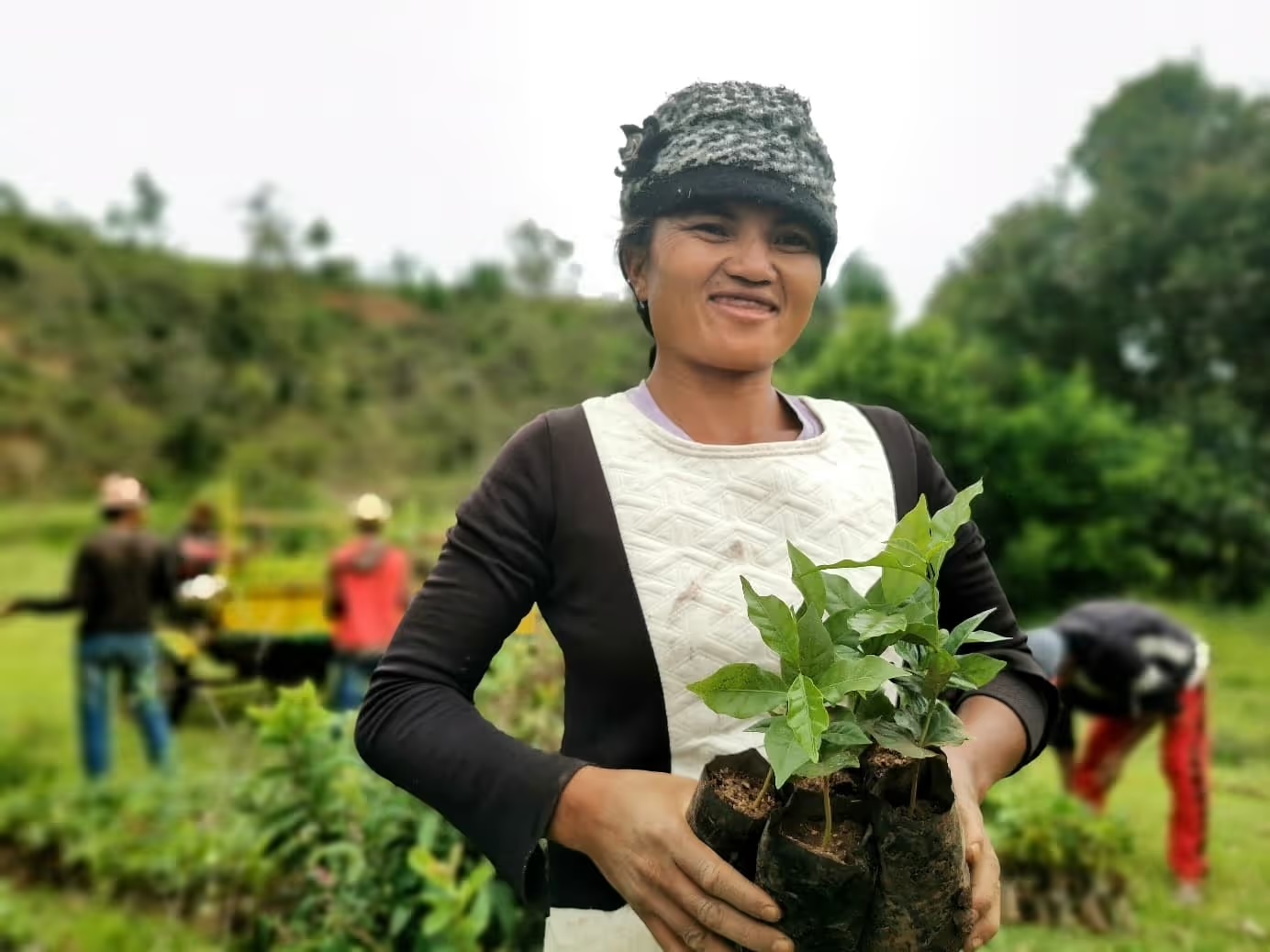 Une villageoise malgache tient de jeunes plants en godets lors d'une campagne de reboisement de LIFE.